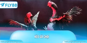 Kèo gà chọi