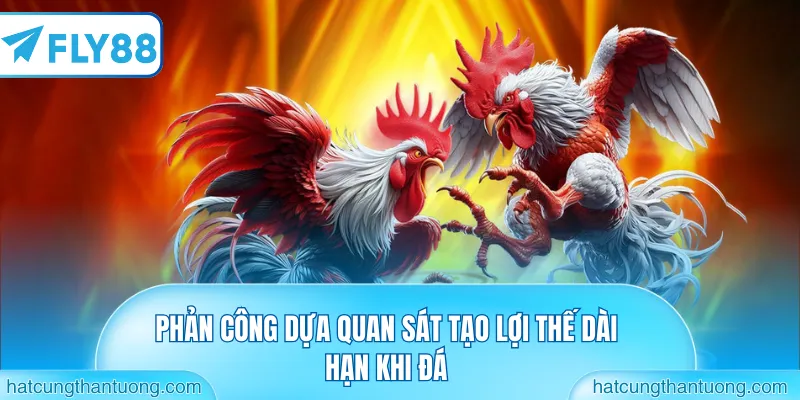 Phản công dựa quan sát tạo lợi thế dài hạn khi đá