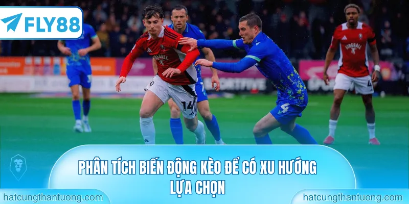 Phân tích biến động kèo để có xu hướng lựa chọn