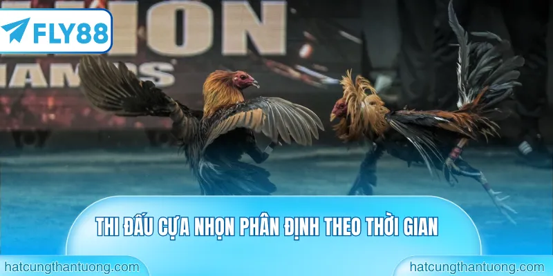 Thi đấu cựa nhọn phân định theo thời gian