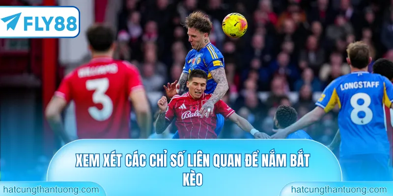 Xem xét các chỉ số liên quan để nắm bắt kèo